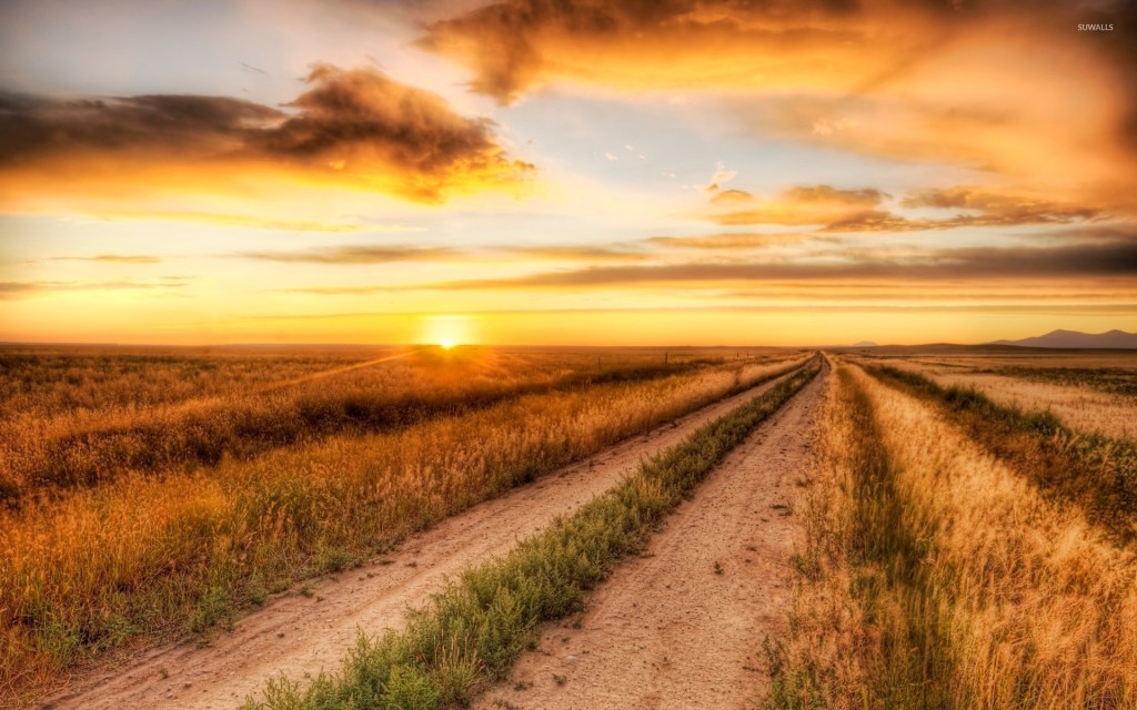 The Evolution of&nbsp;Hope