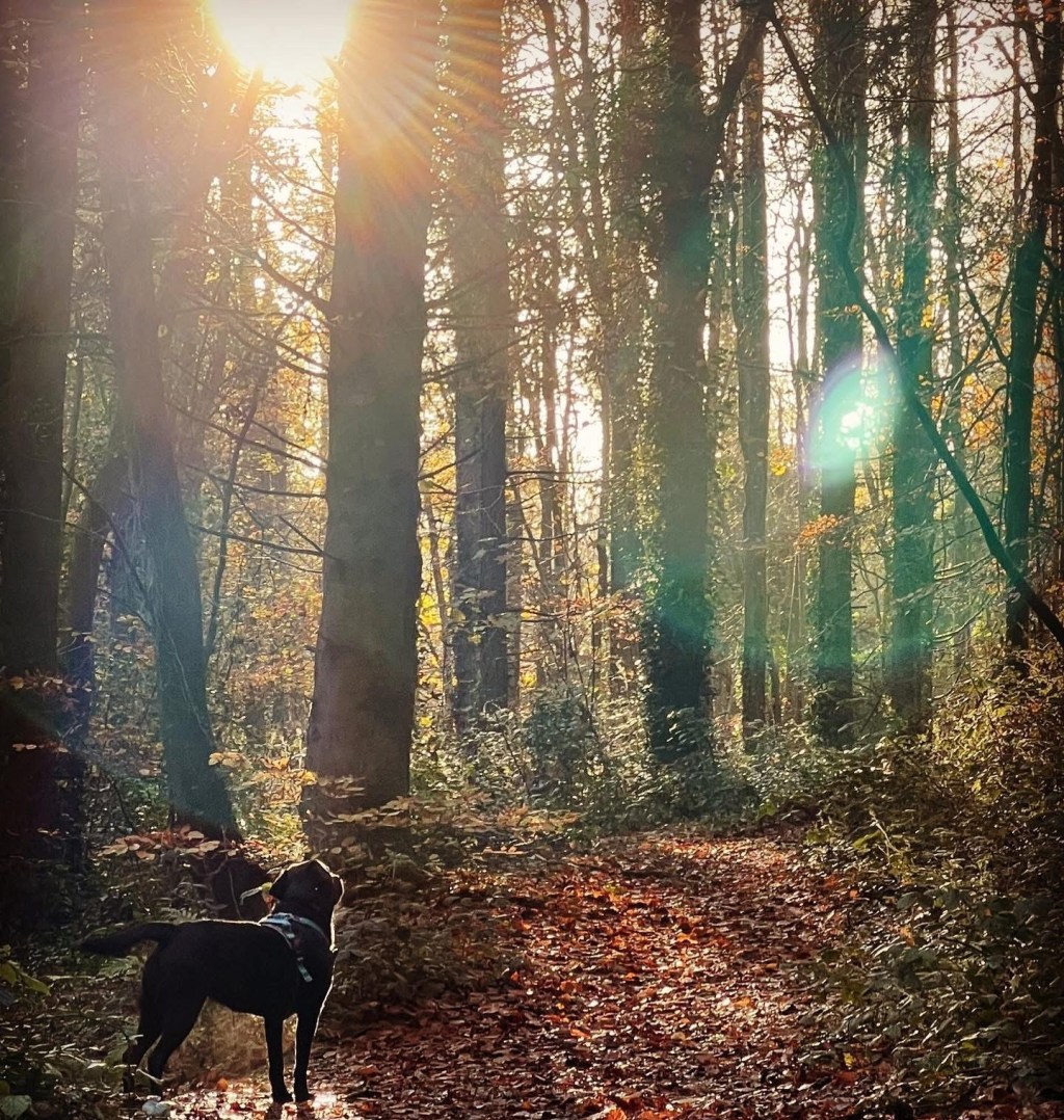 Misery loves company