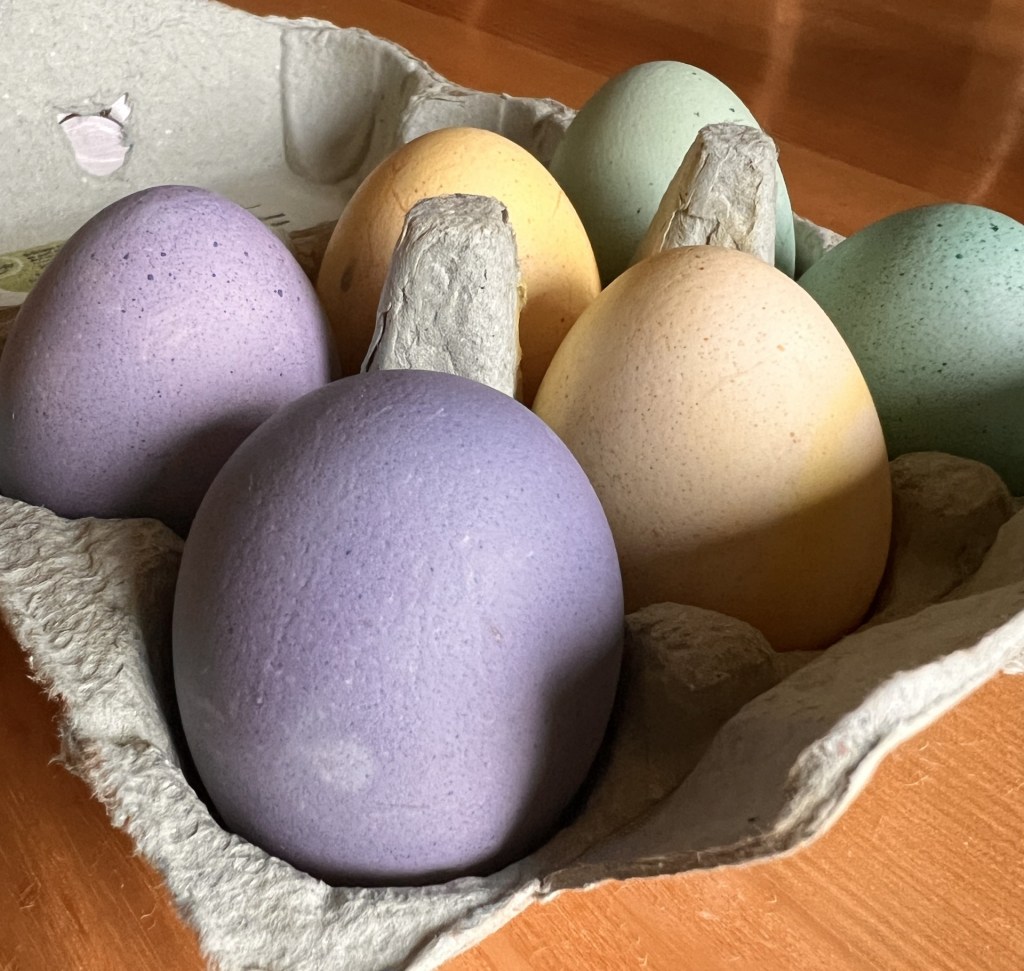 Easter: a chance to begin&nbsp;again