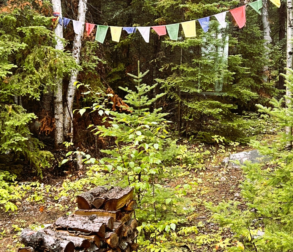 Our inner wilderness